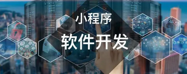 统软件、应用软件、网站开发等 小程序公众号APP