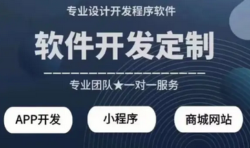 app开发 H5商城小程序开发 网站搭建系统制作定制设计